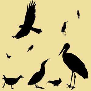 panneau shilouette oiseaux